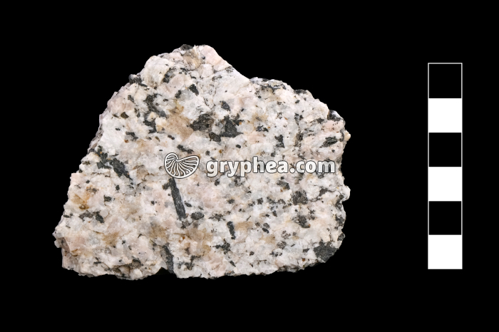 Granite à amphibole - échantillon - gryphea.com